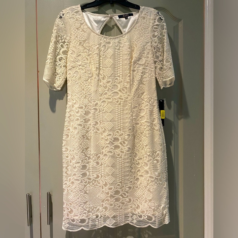 Gorgeous Alex Marie Cream Lace Dress